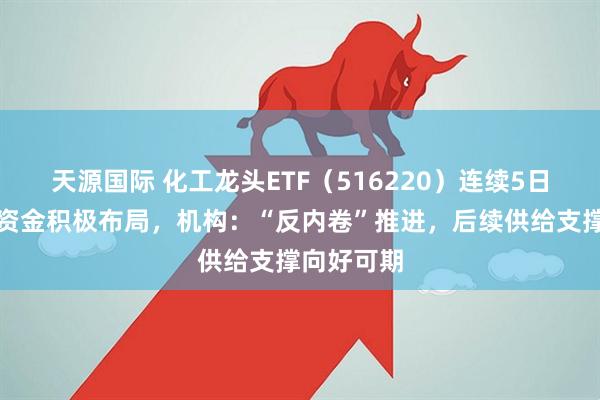 天源国际 化工龙头ETF（516220）连续5日净流入，资金积极布局，机构：“反内卷”推进，后续供给支撑向好可期
